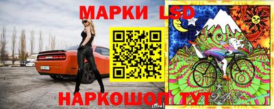 герыч Кингисепп