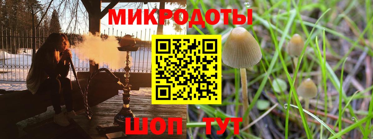 Галлюциногенные грибы MAGIC MUSHROOMS Чехов